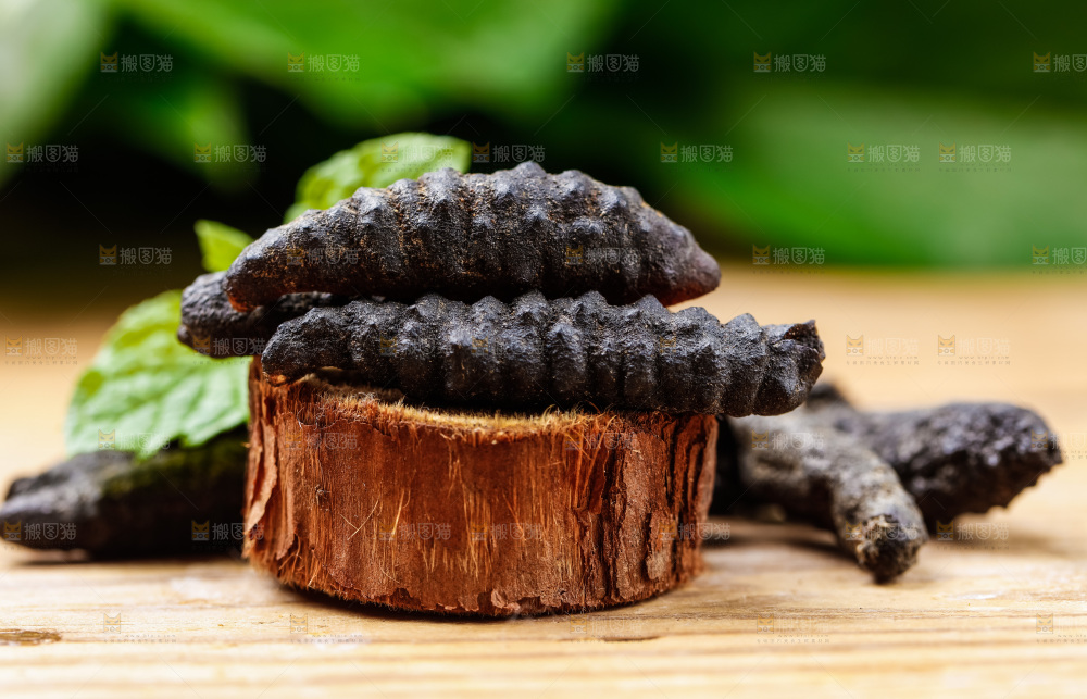 木头上放着干海参