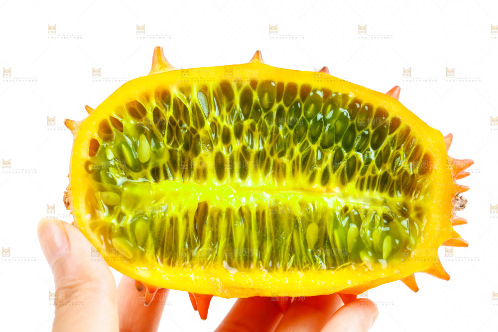 手里拿着海参果