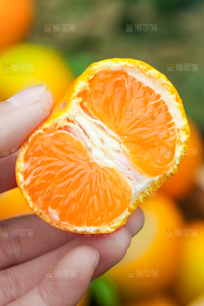 篮子里装着蜜橘