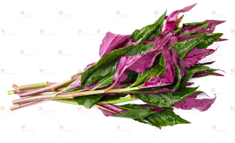 白底上摆放着血皮菜