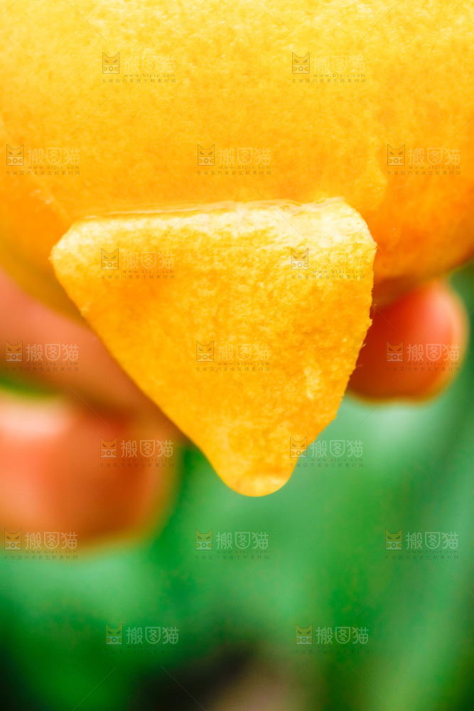 手里拿着黄肉毛桃