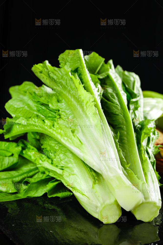 黑底上的油麦菜