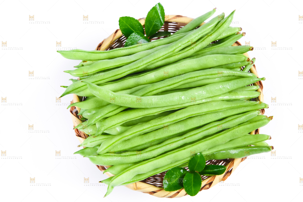 一筐广西四季豆放在白底上