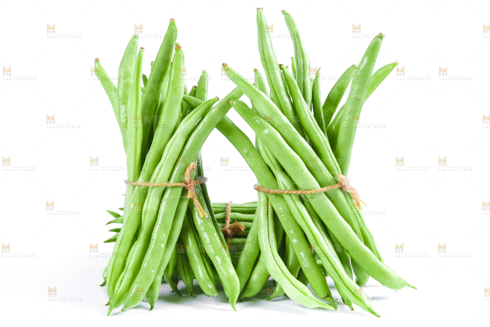 新鲜陕西四季豆放在白底上