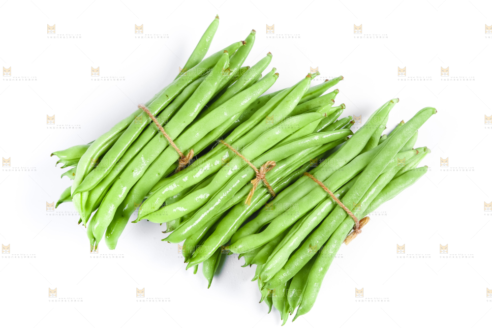 新鲜陕西四季豆放在白底上