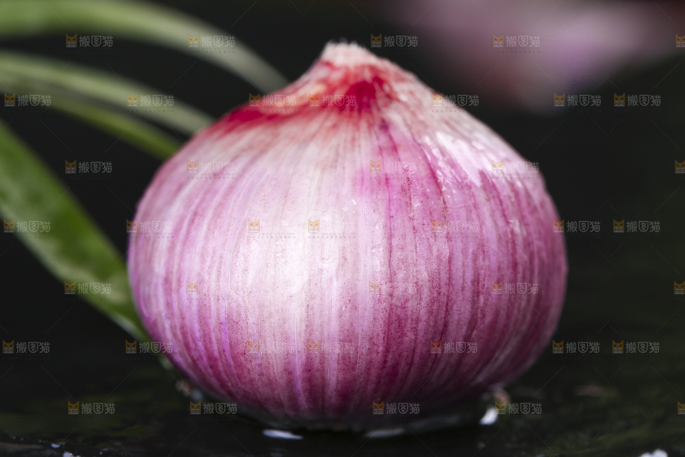 黑底上放着独蒜头