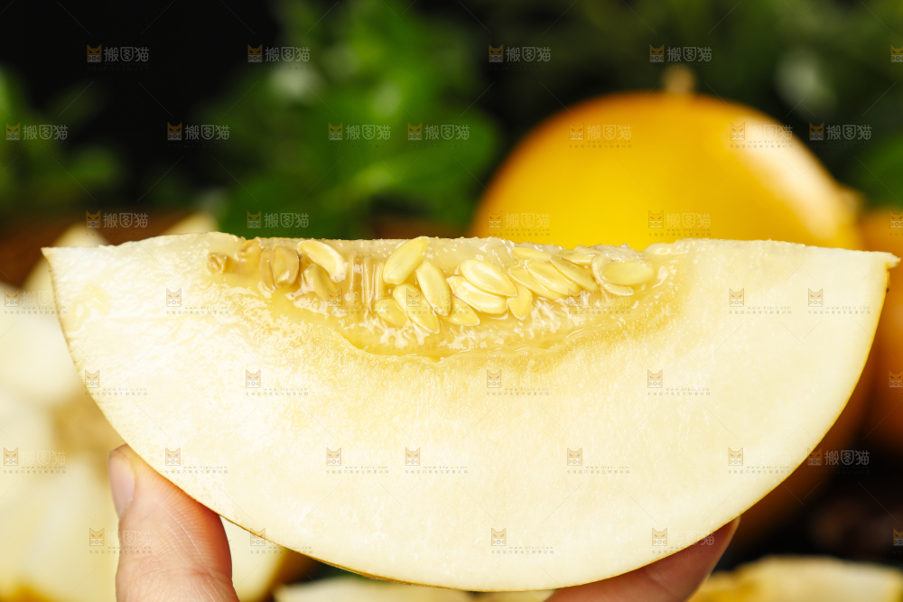 手拿切开的陕西黄河蜜瓜