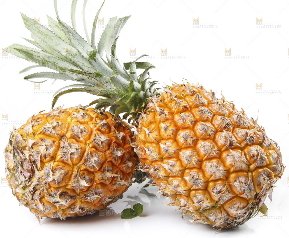 白底上的新鲜菠萝