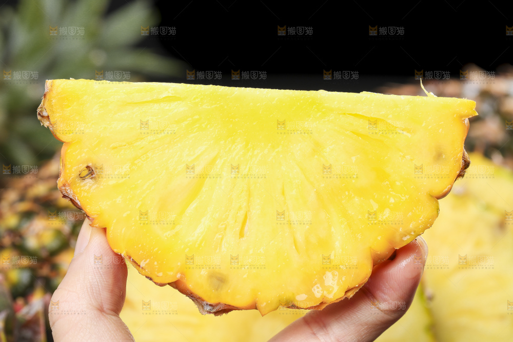 手拿切开的海南金钻凤梨