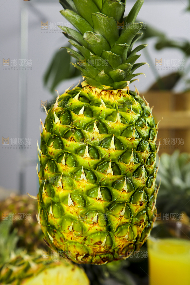 一个新鲜的凤梨