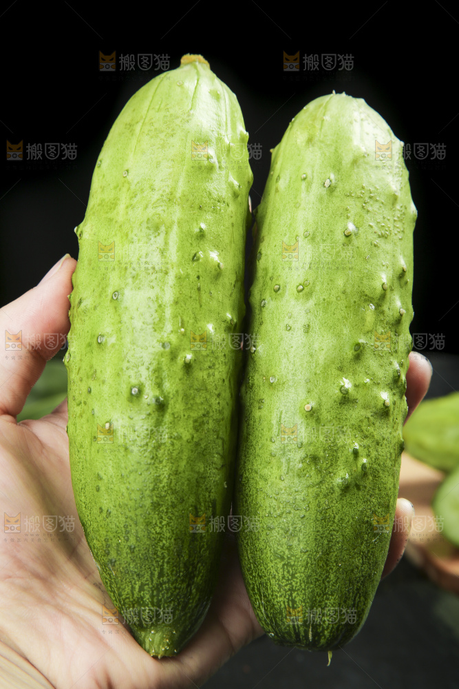 手拿新鲜旱黄瓜