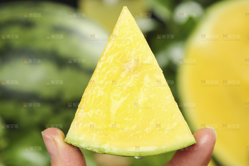 手拿切开的黄心西瓜