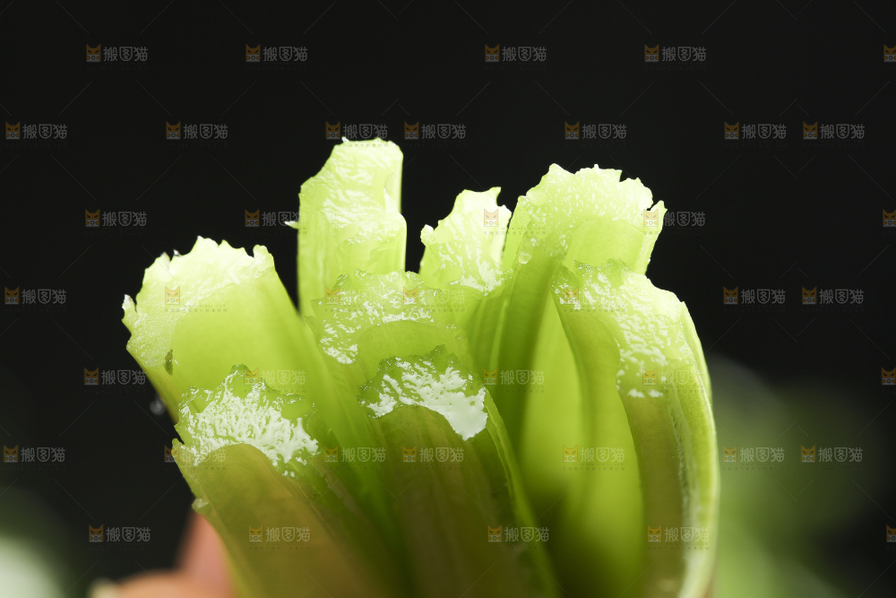 深底上的一把香芹