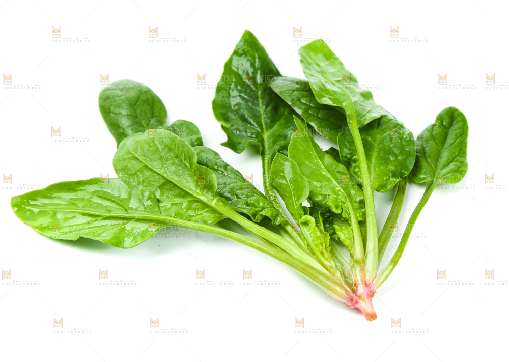 白底上放着新鲜菠菜