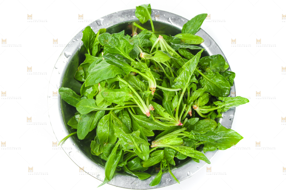白底上放着新鲜菠菜