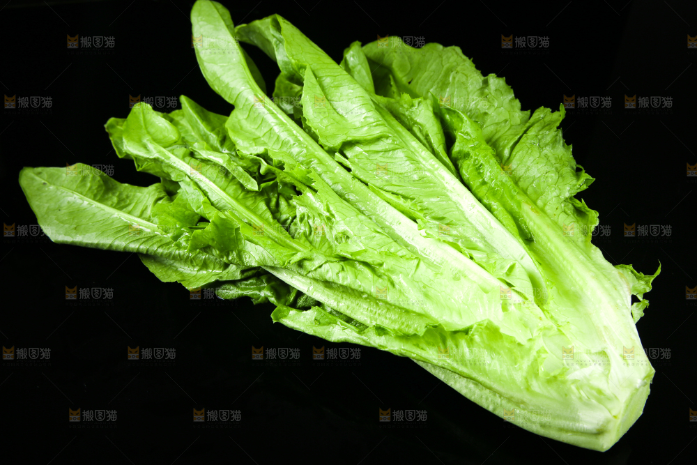 黑底上摆放着油麦菜