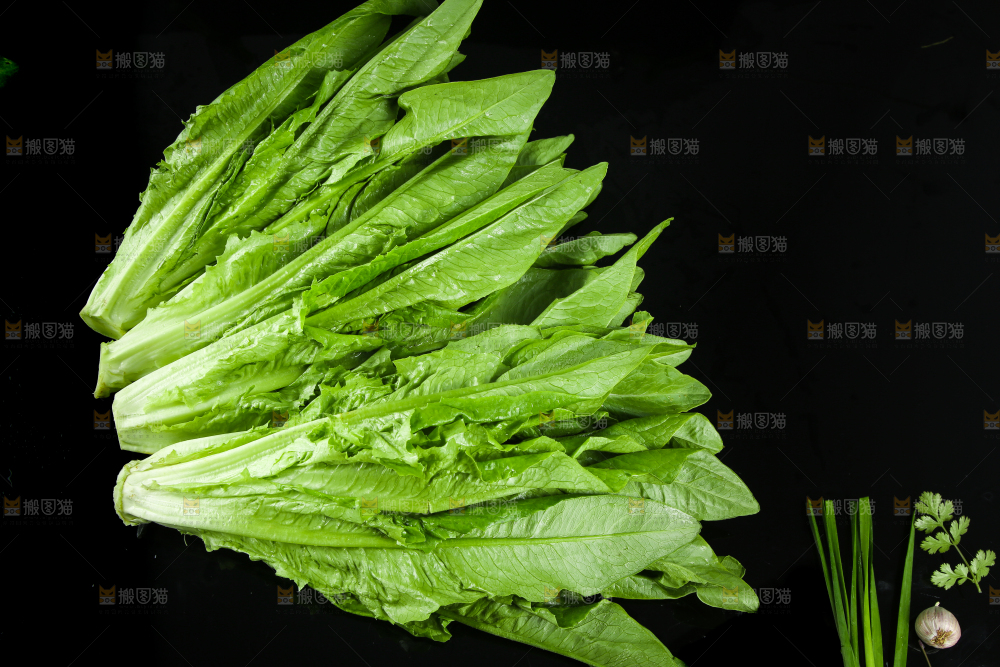 黑底上的油麦菜
