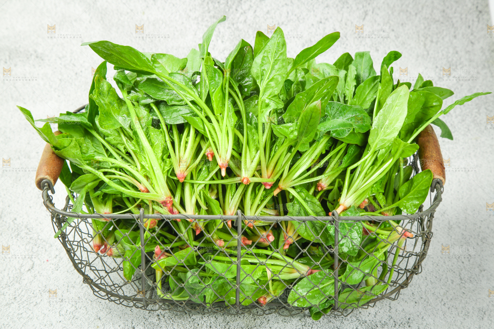 浅底上放着新鲜菠菜
