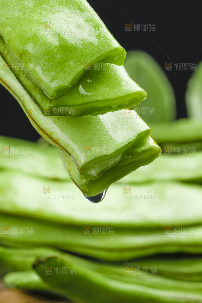 扁豆