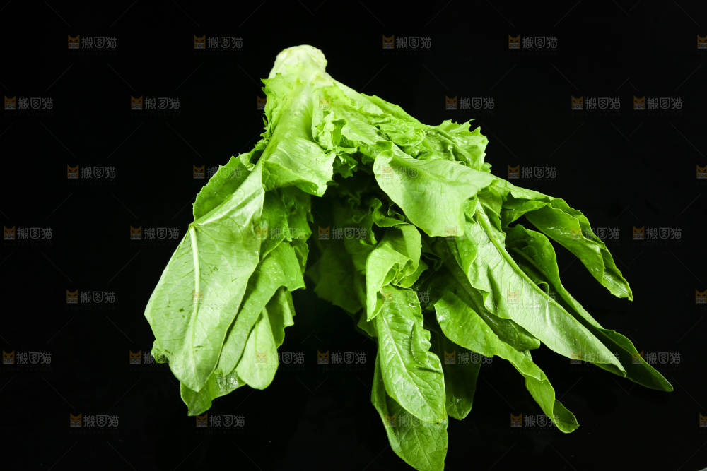 黑底上摆放着油麦菜