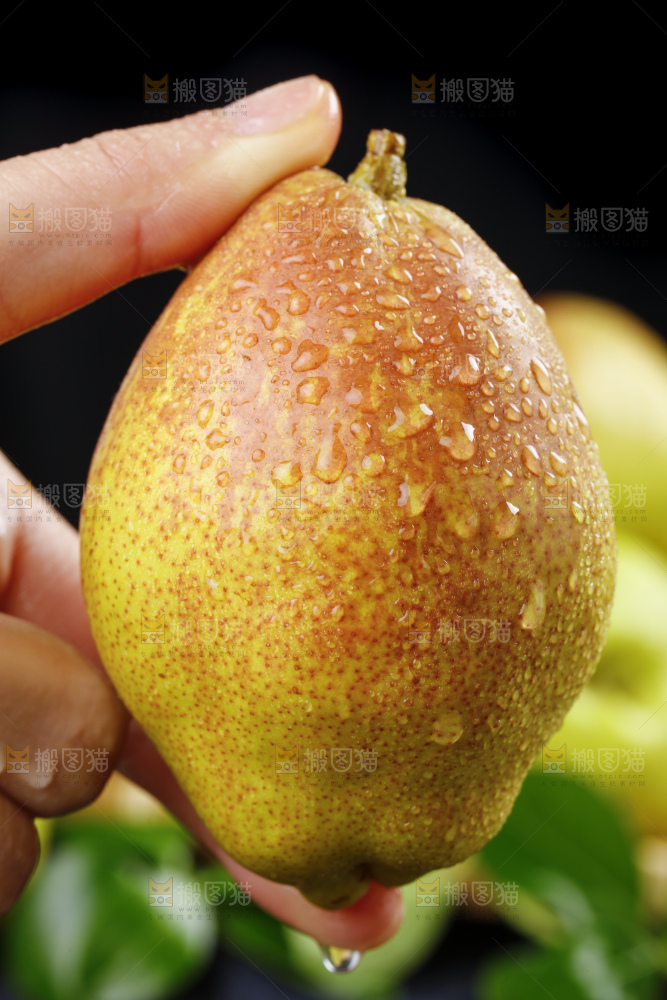 手拿新疆库尔勒新鲜香梨