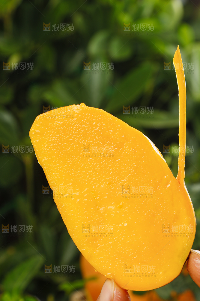 贵妃芒