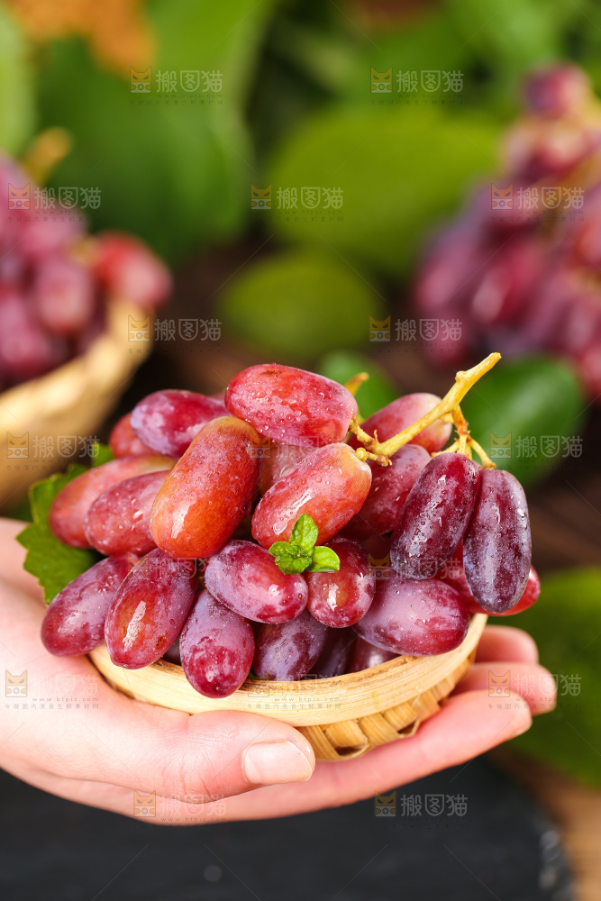 双手捧着竹篮里的美人指葡萄