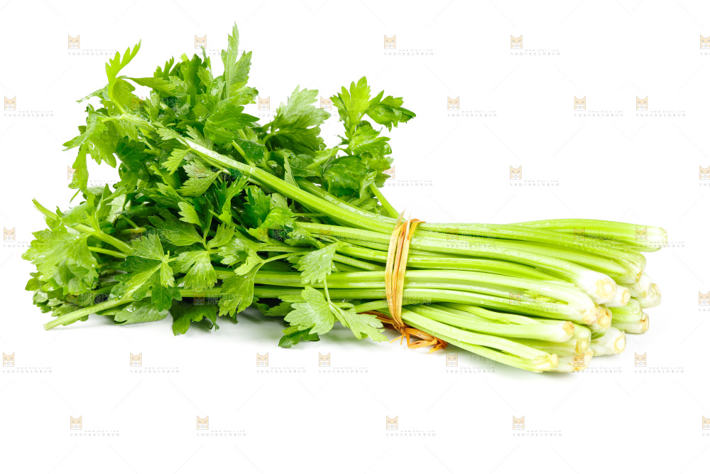 白底上放着芹菜