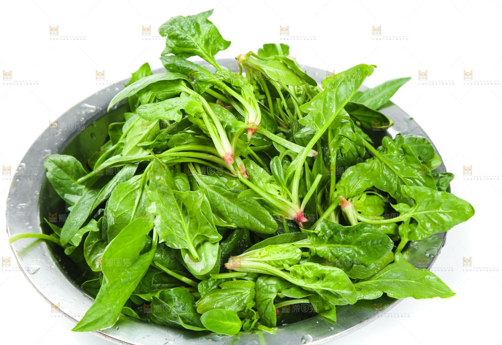 白底上放着新鲜菠菜