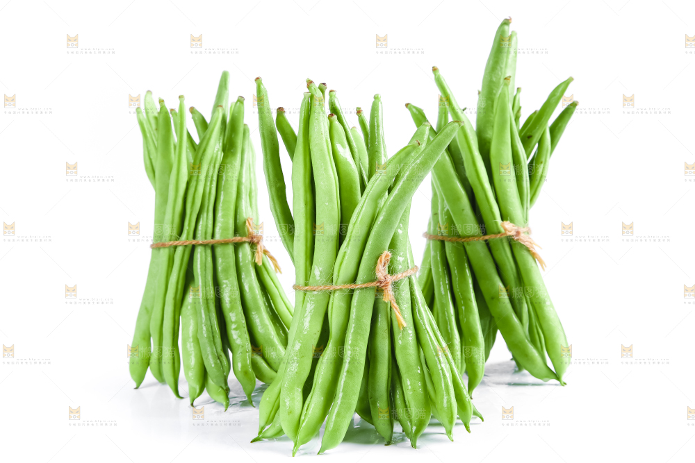 新鲜陕西四季豆放在白底上