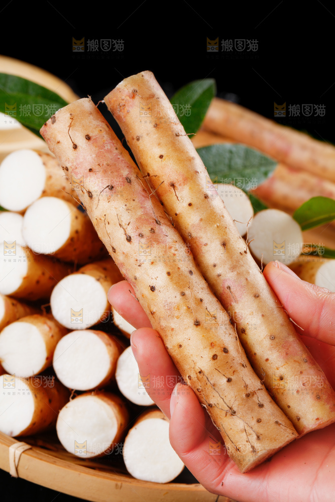 手里拿着新鲜山药