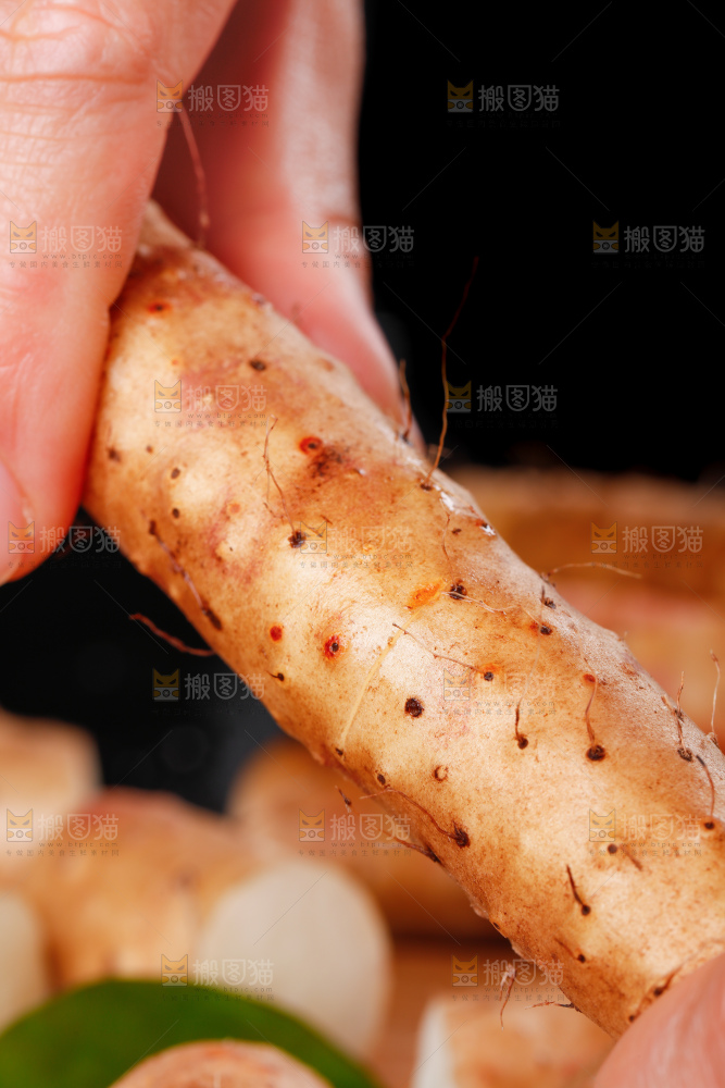手里拿着小白嘴山药