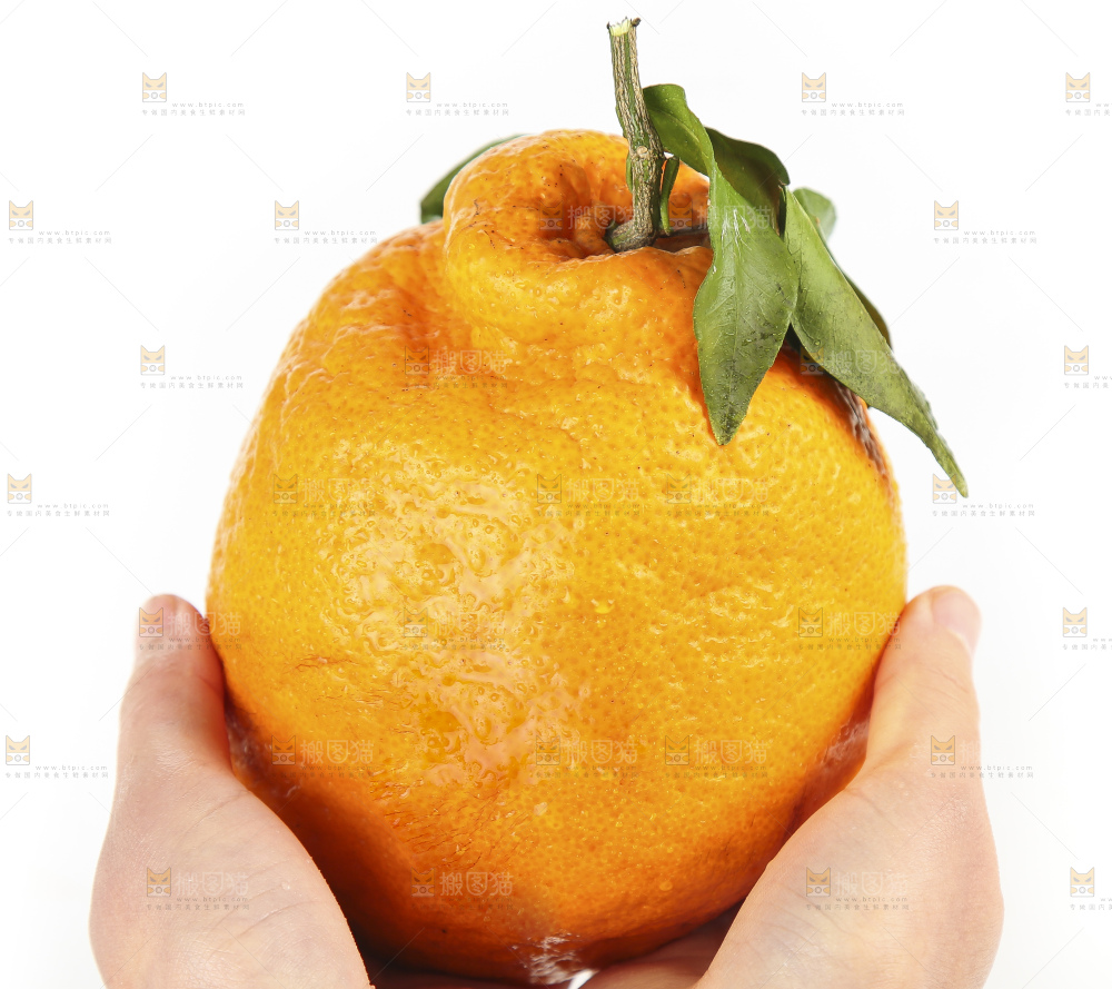 手拿新鲜丑橘