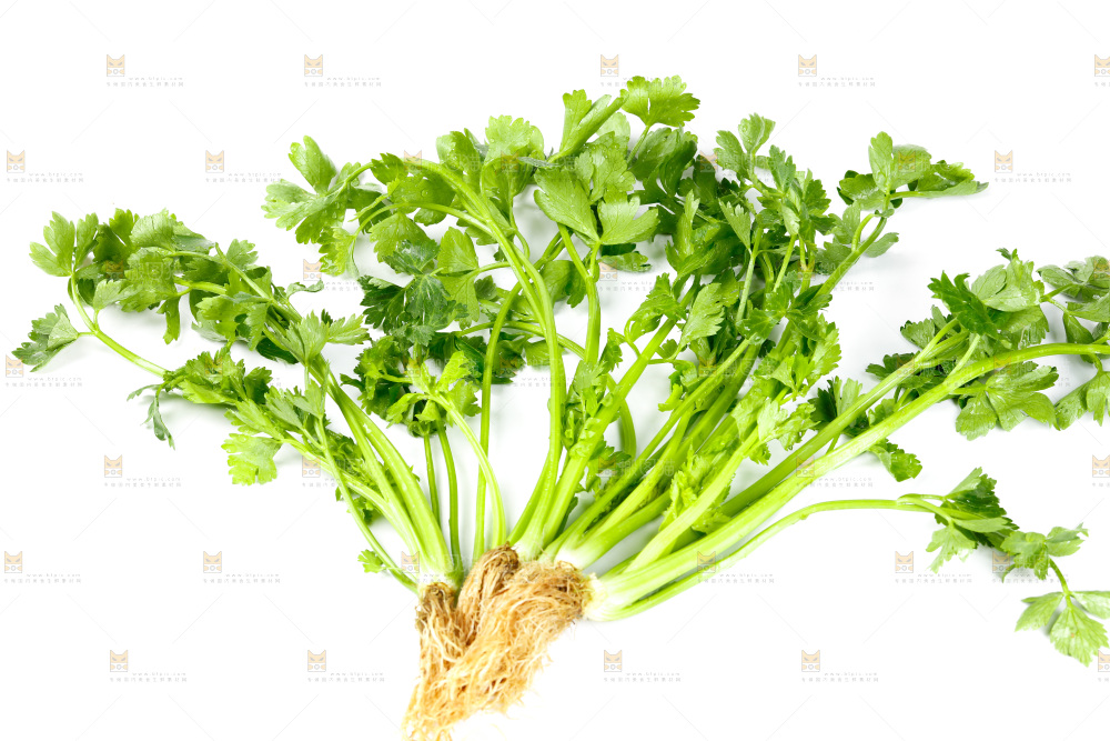 白底上放着芹菜