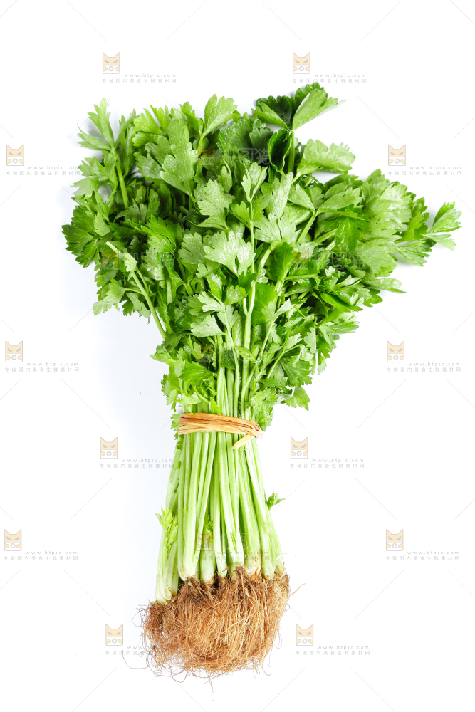 白底上的芹菜