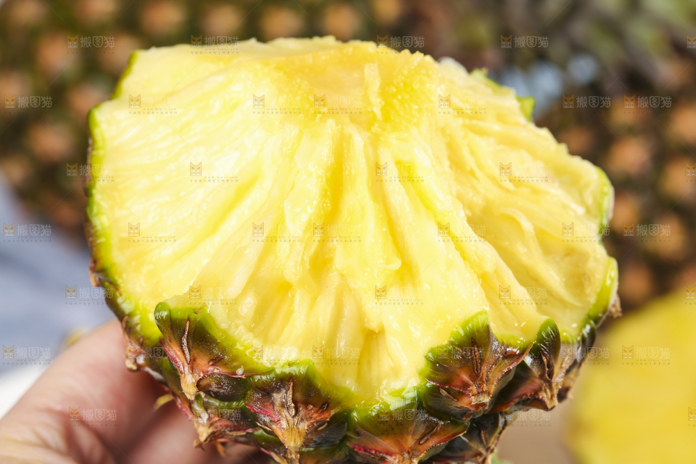 手拿凤梨果肉