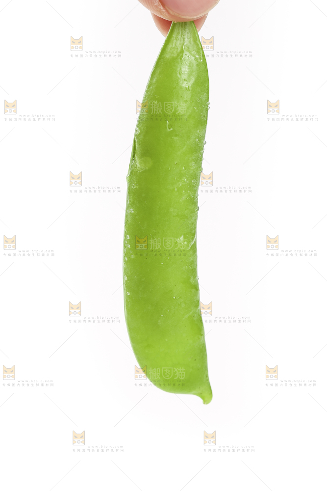 手里拿着豌豆荚