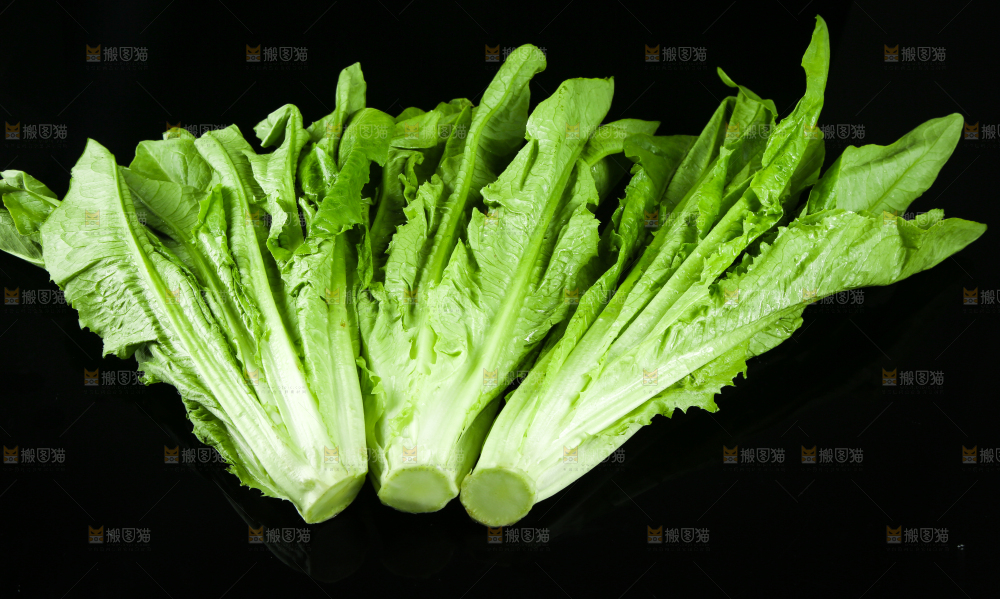 黑底上摆放着油麦菜