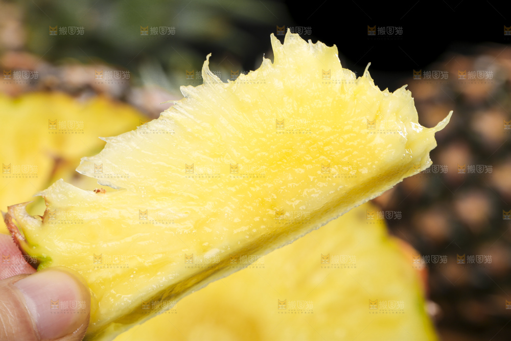 手拿海南金钻凤梨果肉
