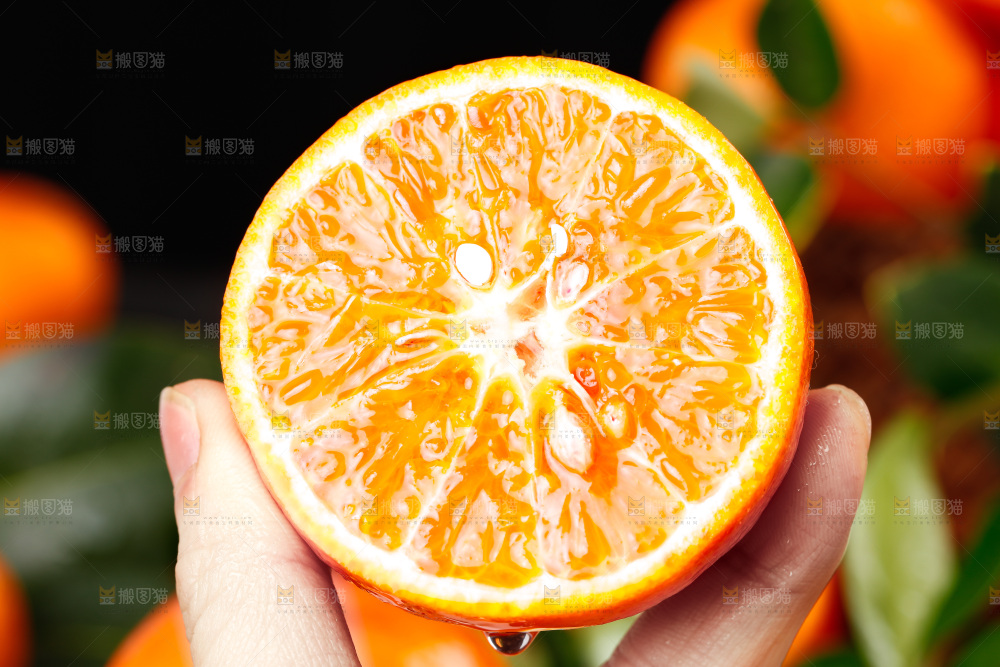手里拿着新鲜沃柑