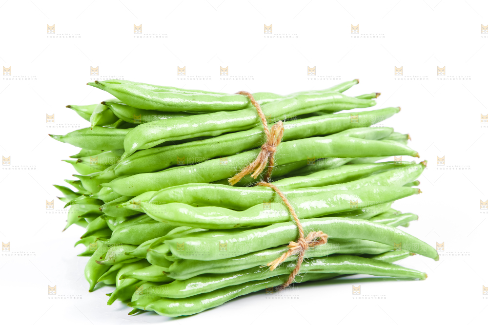 新鲜陕西四季豆放在白底上
