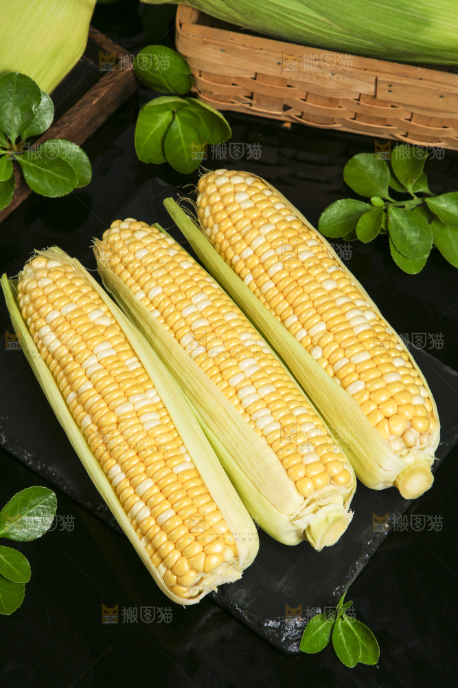 玉米