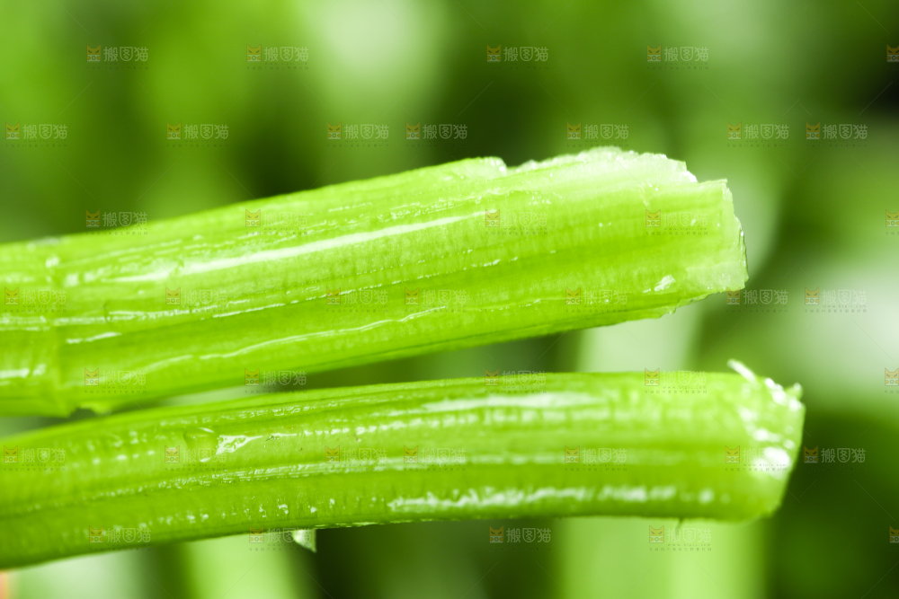 黑底上放着小芹菜