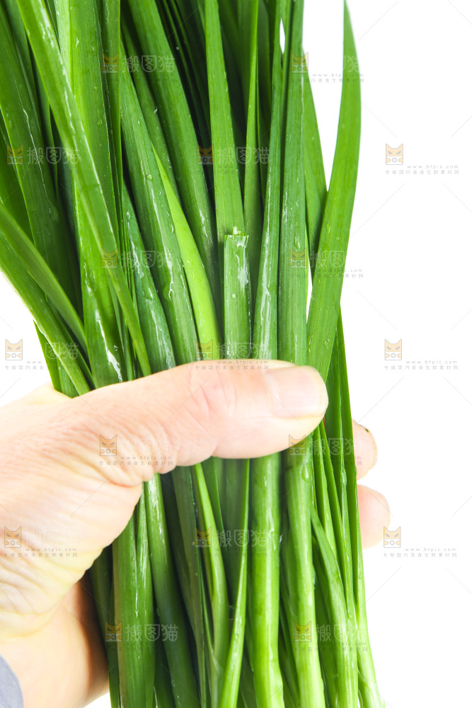 白底上的一把韭菜