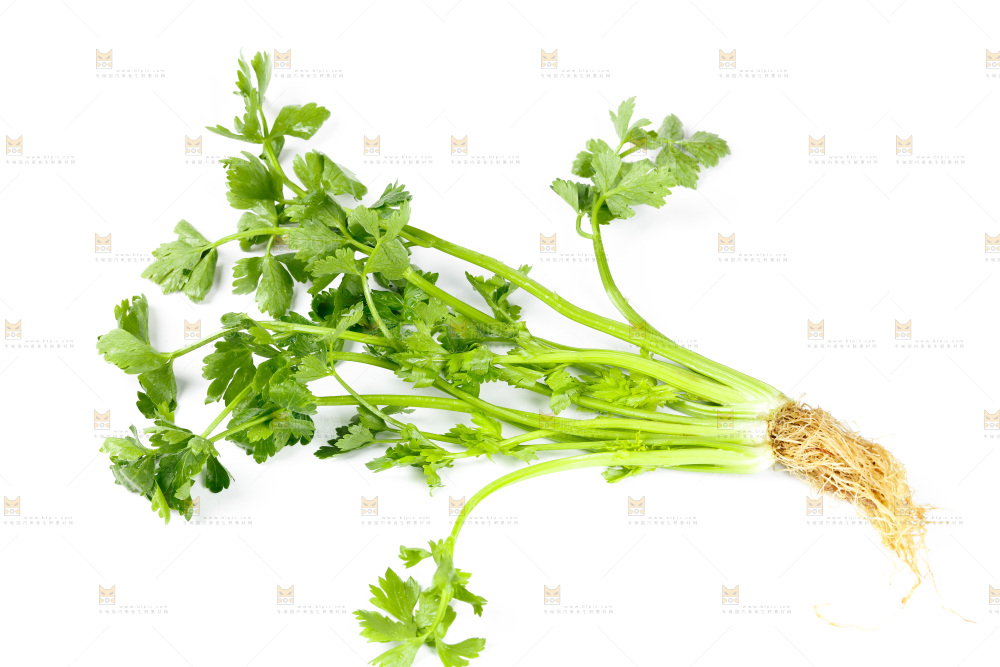 白底上放着芹菜