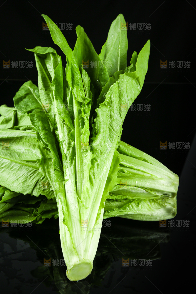 黑底上摆放着油麦菜