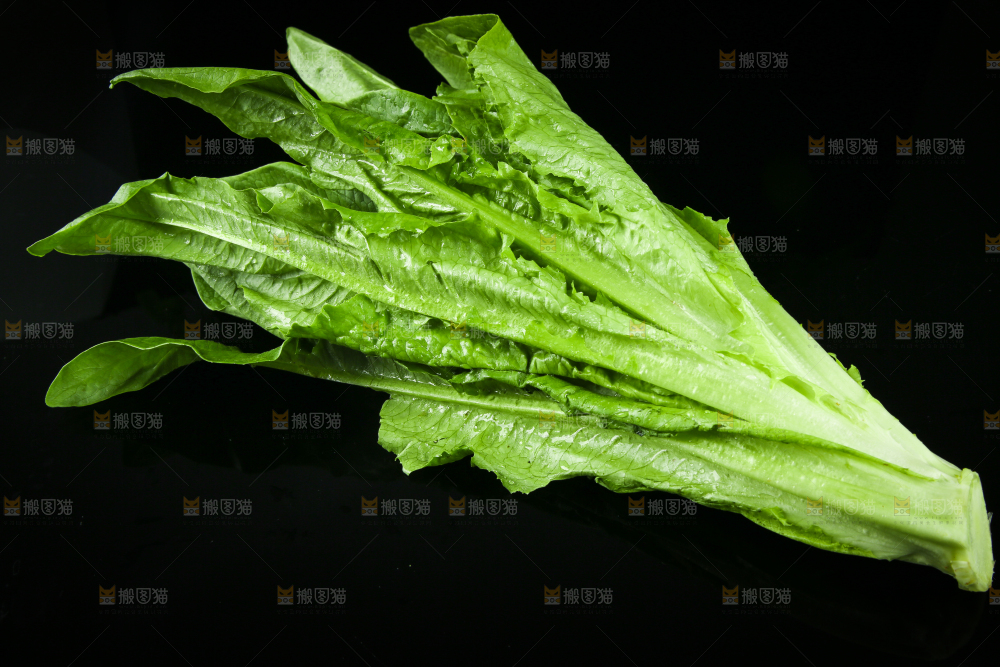 黑底上摆放着油麦菜