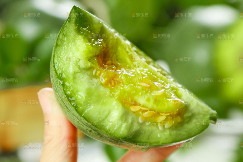 手里拿着掰开的绿宝石甜瓜