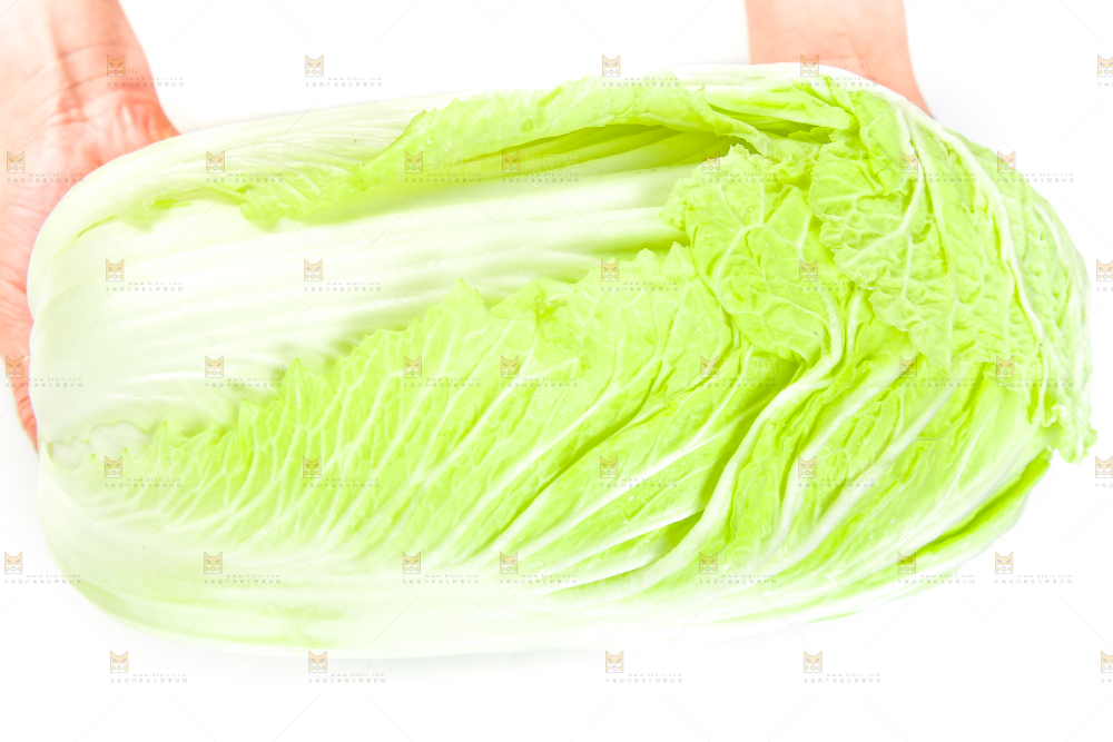 手里拿着山东大白菜
