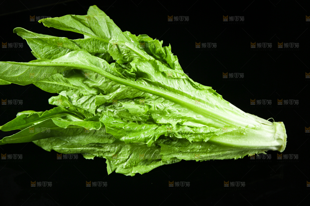 黑底上摆放着油麦菜